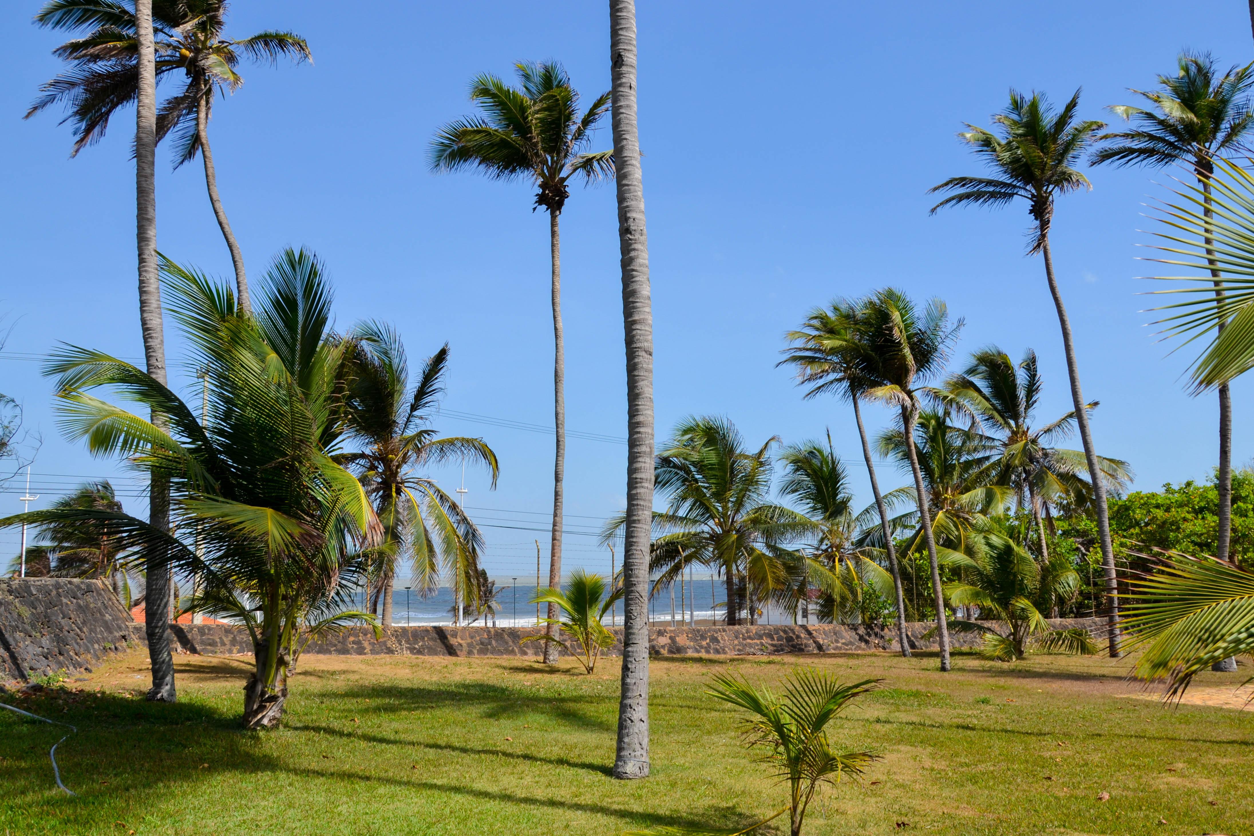 Blue Tree Towers Sao Luis Hotel Eksteriør billede